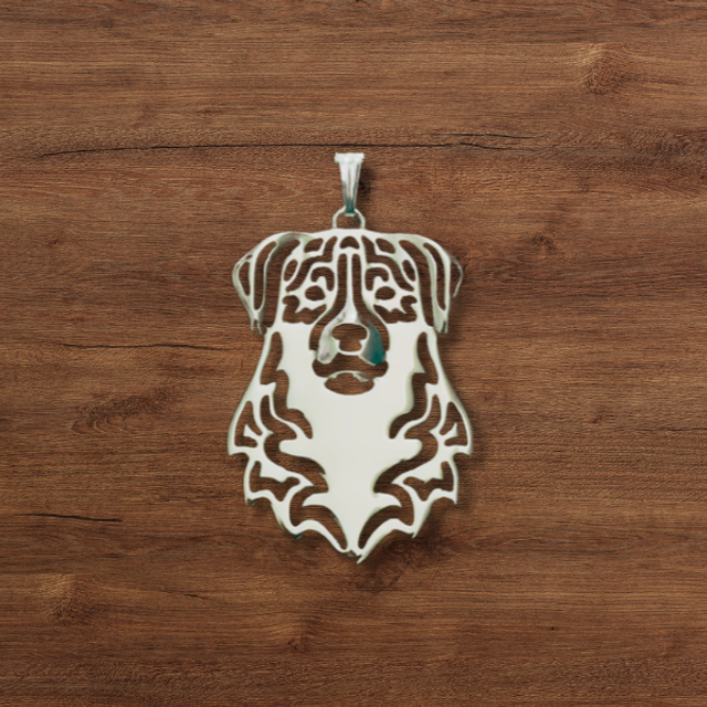 Australianpaimenkoira kaulakoru